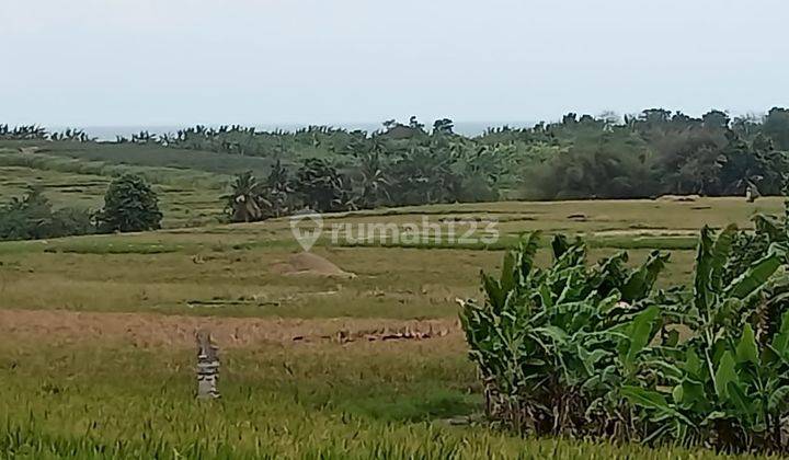 TOP URGENT FOR SALE LAND LOCATION KELATING KERAMBITAN TABANAN 1