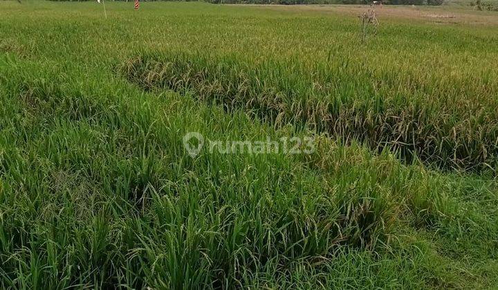 TOP URGENT FOR SALE LAND LOCATION KELATING KERAMBITAN TABANAN 2