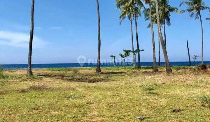 TOP URGENT LAND FOR SALE LOSS BEACH VIEW SEA LOCATION AIR SANIH KUBUTAMBAHAN BULELENG
 1