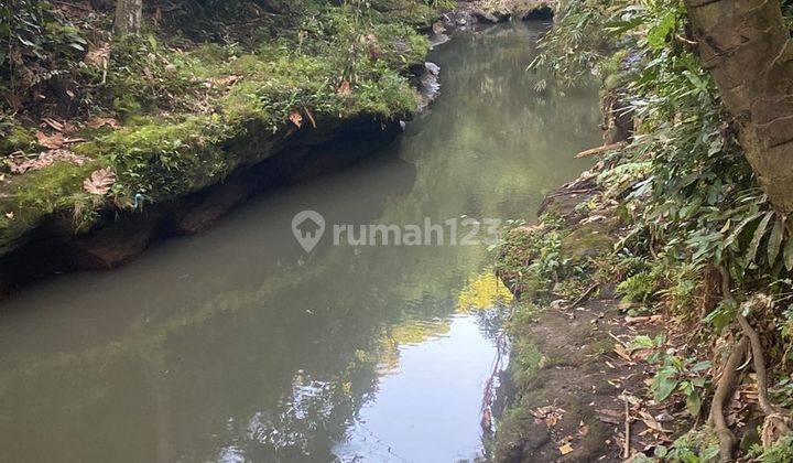 TOP URGENT DI JUAL TANAH LOSS SUNGAI VIEW HUTAN LOKASI NYAMBU KABA KABA TABANAN 2