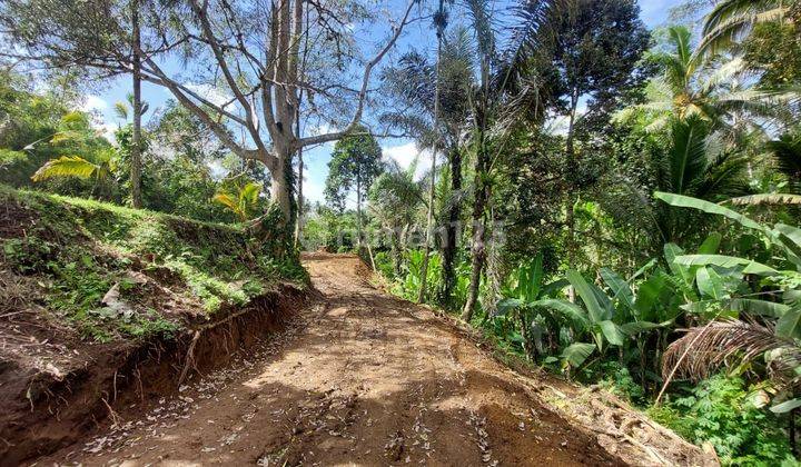 SURE DEAL FOR SALE FOREST VIEW KAVLING LAND LOCATION PUHU PAYANGAN UBUD GIANYAR 2