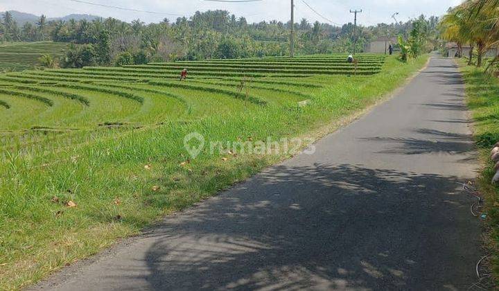 PASTI DEAL DI JUAL TANAH LOKASI BENGKEL KEDIRI TABANAN  1