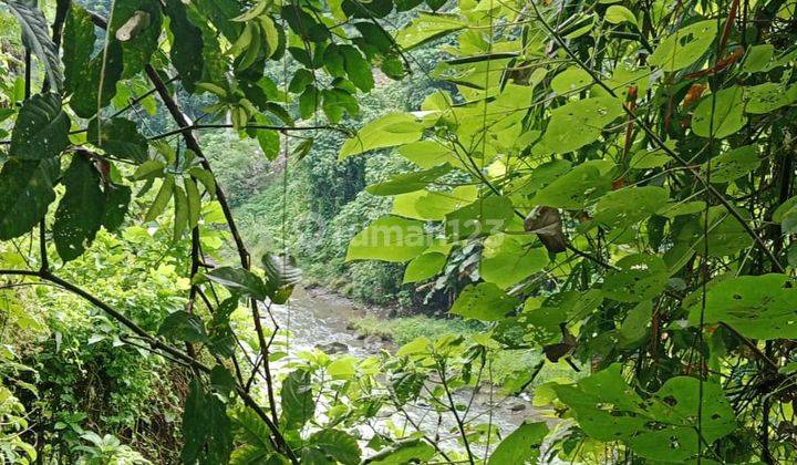 Pasti Closing Di Sewakan Tanah Loss Sungai Wos Lokasi Singapadu Kaler Sukawati Gianyar 2