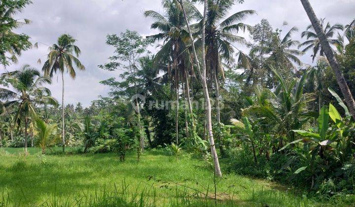 PASTI CLOSING DI JUAL TANAH LOSS SUNGAI VIEW LEMBAH & SAWAH LOKASI BRESELA PAYANGAN UBUD GIANYAR
 2