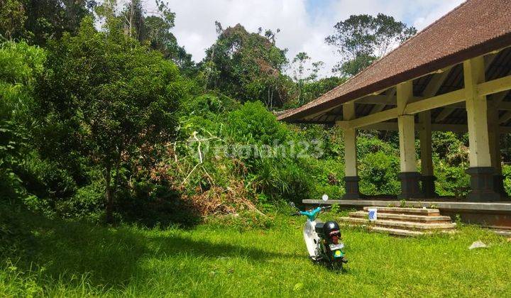 Pasti Closing Di Jual Tanah Bonus Bangunan View Danau Beratan Bedugul Lokasi Candi Kuning Baturiti Tabanan 2