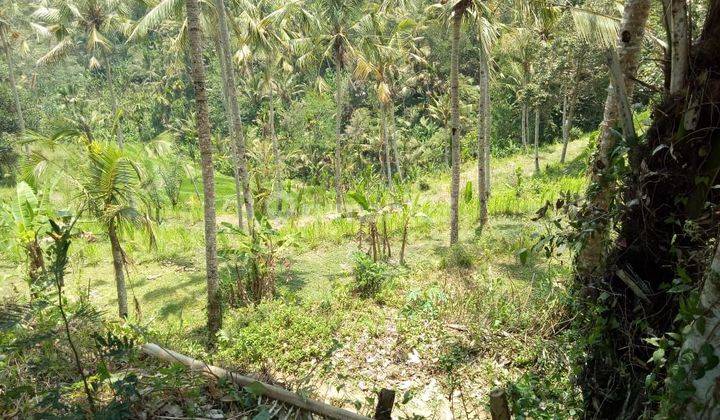 PASTI CLOSING DI JUAL TANAH LOSS SUNGAI VIEW LEMBAH & SAWAH LOKASI BRESELA PAYANGAN UBUD GIANYAR
 1