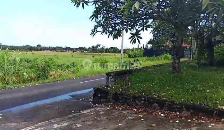 PASTI CLOSING DI JUAL TANAH PINGGIR JALAN LOKASI WANASARA BONGAN TABANAN 2