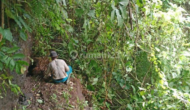 Pasti Closing Di Sewakan Tanah Loss Sungai Wos Lokasi Singapadu Kaler Sukawati Gianyar 1