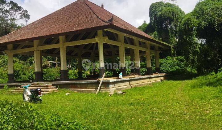 Pasti Closing Di Jual Tanah Bonus Bangunan View Danau Beratan Bedugul Lokasi Candi Kuning Baturiti Tabanan 1