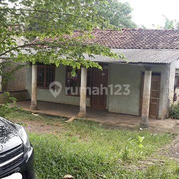 Rumah Tua Hitung Tanah di Kampung Jati Tajur Halang Bogor 410 m² 1