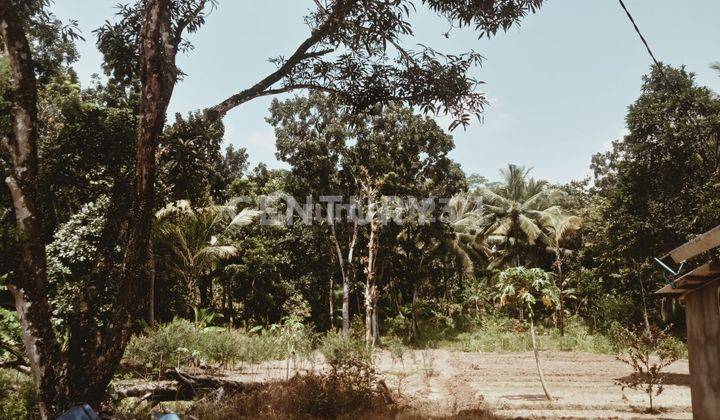 Tanah Lokasi Strategis Untuk Hotel/Villa Di Tanjung Lesung 2