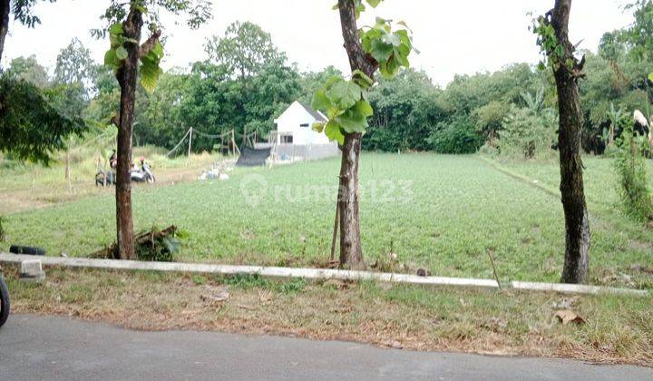 Tanah Sawah Murah di Sleman Jogja, Cocok Untuk Investasi 2