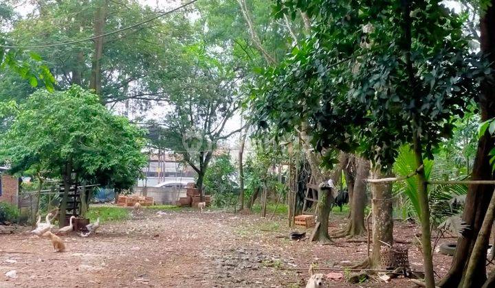 Tanah Kebun di Balaraja Tangerang, Jalan Depan Lebar 2