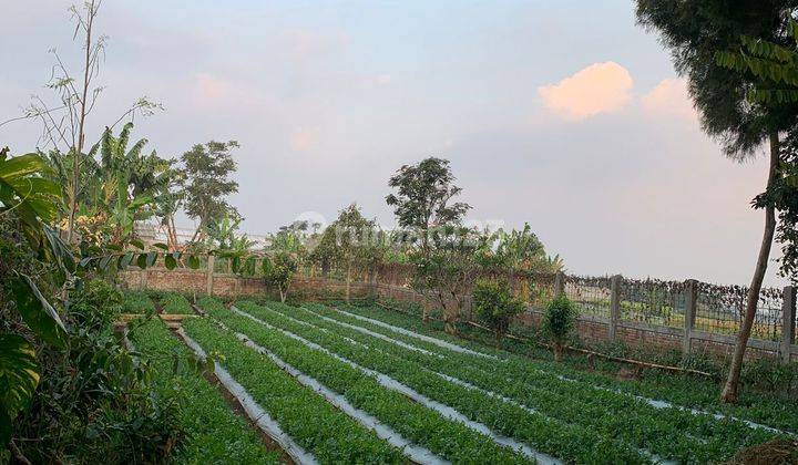 Villa Dengan Lingkungan Asri di Parongpong Bandung 2