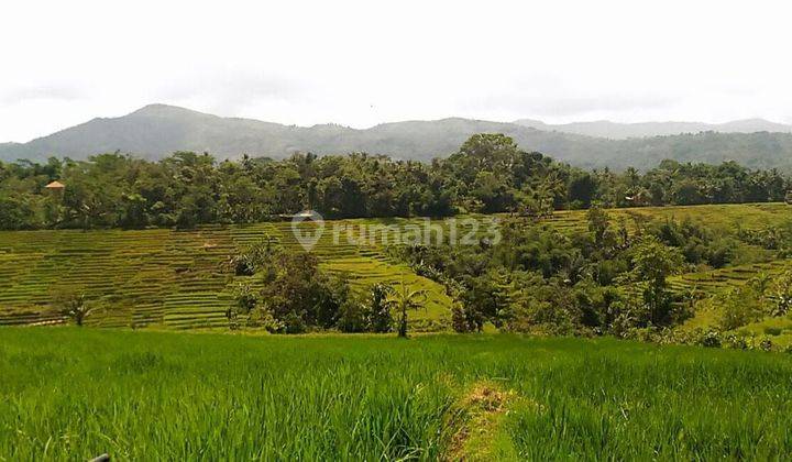 Tanah Strategis dengan View Menawan di Nagreg Bandung 1