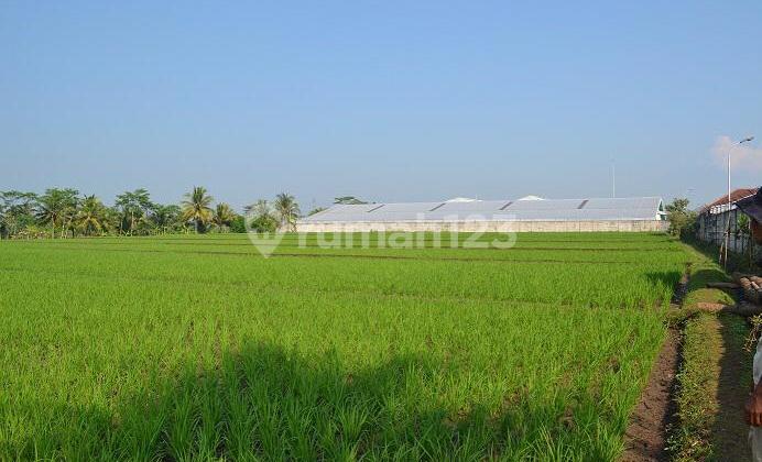 Jual Tanah Murah dan Luas di Daerah Selajambe Cianjur 