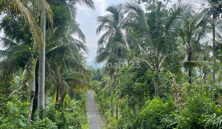 Ocean and Valley View Land in Jembrana Bali 1