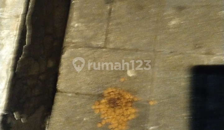 Ruko Ngantong Renov Desain Utk Usaha Strategis Di Kelapa Gading