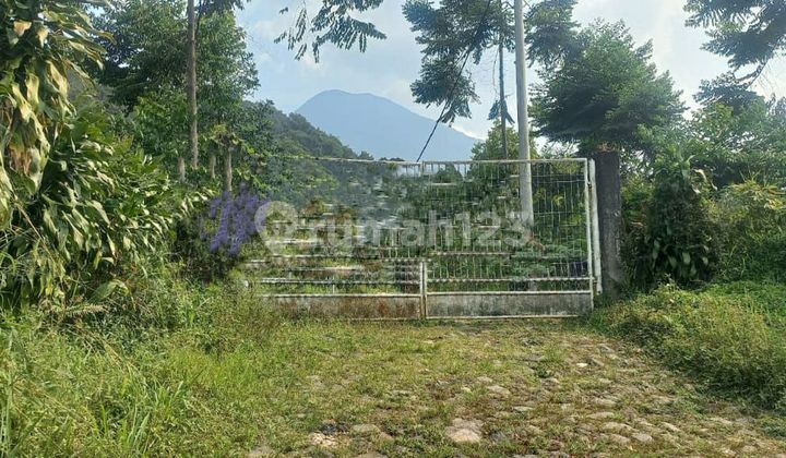 Kavling cocok untuk Villa di Taman Sari, Bogor Kavling cocok untuk Villa di Taman Sari, Bogor