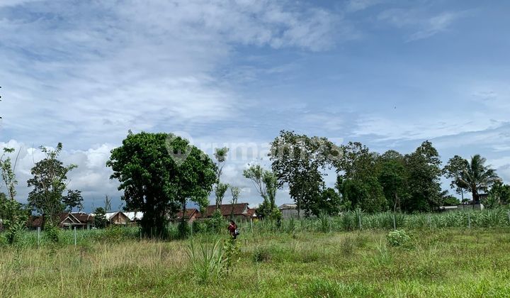 CHEAP LAND ONLY 2 MINUTES FROM MALANG AIRPORT