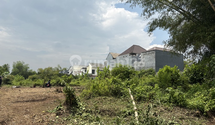 Investasi Properti Tanah dengan Risiko Minim dan Nilai Terus Naik