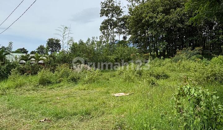 TANAH SHM SIAP BANGUN LOKASI POTENSIAL COCOK UNTUK BISNIS KOS