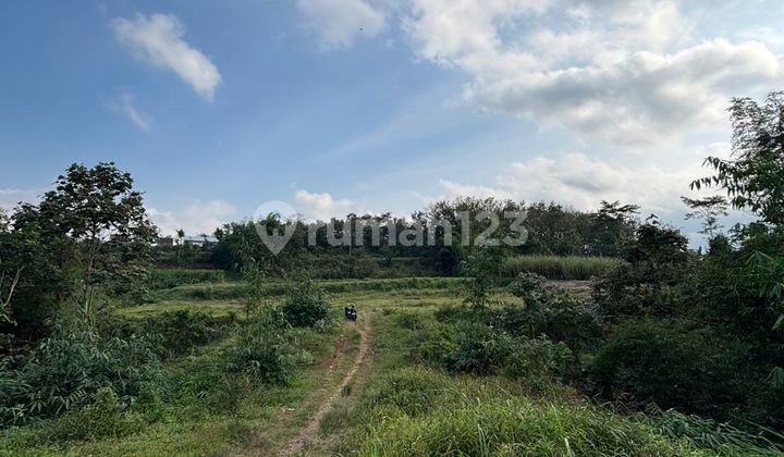 LOW PRICED LAND IN MALANG SUITABLE FOR RESIDENCE - CERTIFICATE OF OWNERSHIP LOW PRICED LAND IN MALANG SUITABLE FOR RESIDENCE - CERTIFICATE OF OWNERSHIP