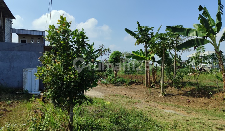 TANAH MALANG KOTA DEKAT KAMPUS AREA POTENSIAL SHM