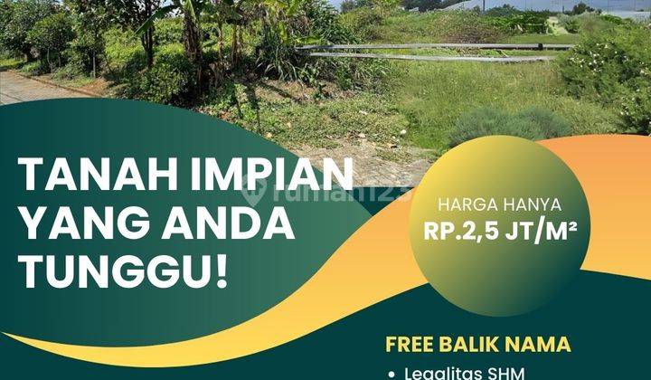 Tanah Murah Dekat Kawasan Pariwisata Cocok Untuk Hunian 1