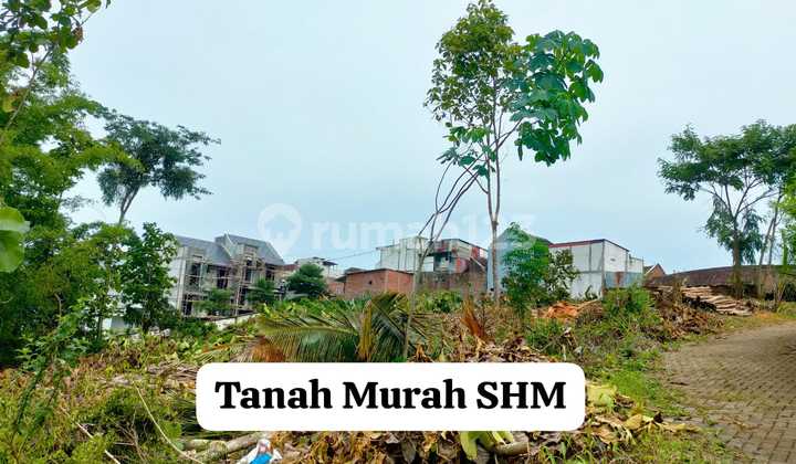 TANAH KAVLING MURAH AREA DEKAT KAMPUS UIN3 MALANG SM NEGO!! TANAH KAVLING MURAH AREA DEKAT KAMPUS UIN3 MALANG SM NEGO!!