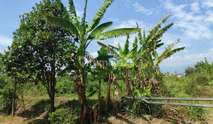 Tanah 10 Menit Kampus Umm Malang, SHM Siap Bangun Rumah Premium  2