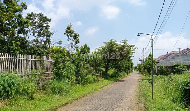 Tanah 120 M² Strategis Dekat Kampus Umm 1