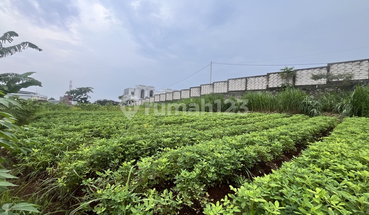 Investasi Properti Menjanjikan: Rumah Kost 10 Kamar Investasi Properti Menjanjikan: Rumah Kost 10 Kamar