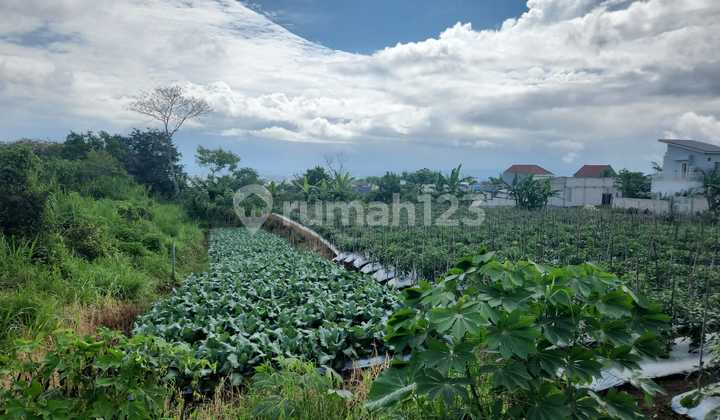 Tanah Hook Siap Bangun, Lokasi Strategis 7 Menit Dari Uin
