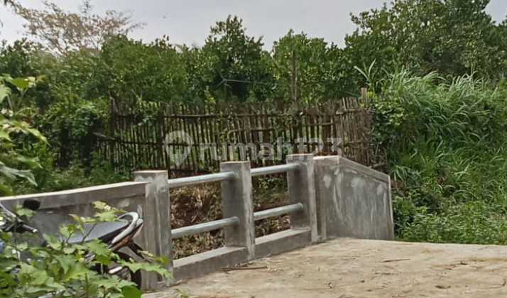 Tanah Ideal untuk Hunian & Investasi Jangka Panjang SHM