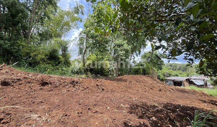 Investasi Rumah Kost dengan Lokasi Tanah Poros Jalan Investasi Rumah Kost dengan Lokasi Tanah Poros Jalan