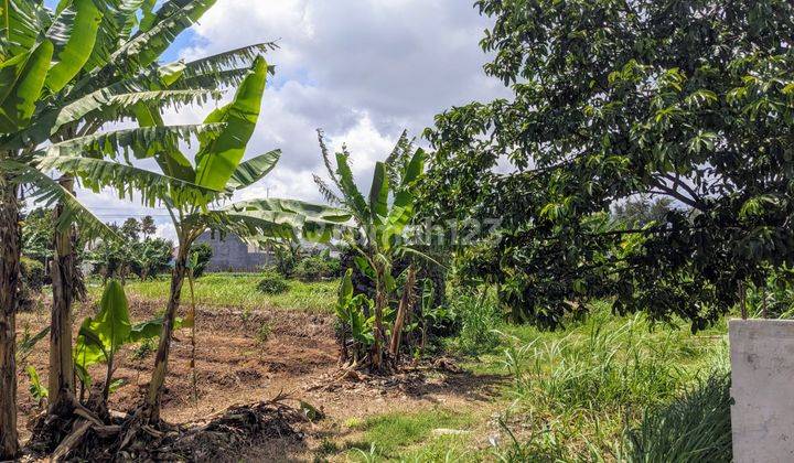 Tanah Murah Strategis View Gunung Buthak, Dekat Kampus Umm Uin 2