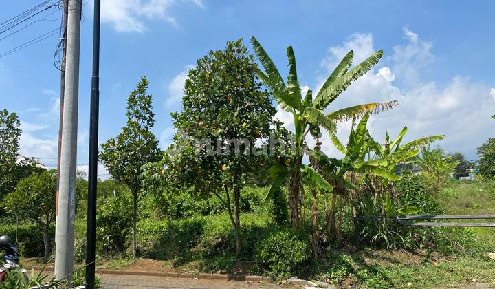 TANAH MURAH MALANG SHM COCOK UNTUK KOS DEKAT KAMPUS TANAH MURAH MALANG SHM COCOK UNTUK KOS DEKAT KAMPUS