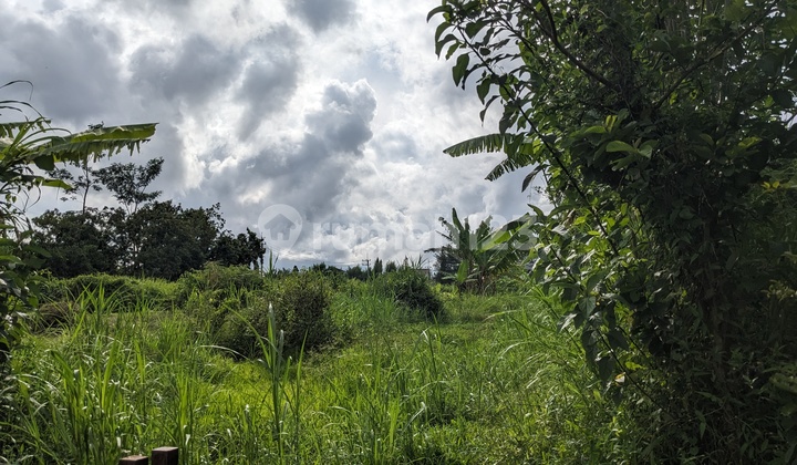 TANAH KAWASAN PERUMAHAN SHM DEKAT KAMPUS MALANG