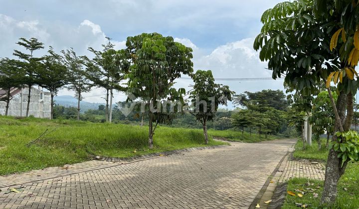 TANAH MALANG HARGA MURAH DIKELASNYA SHM DEKAT DENGAN UIN TANAH MALANG HARGA MURAH DIKELASNYA SHM DEKAT DENGAN UIN