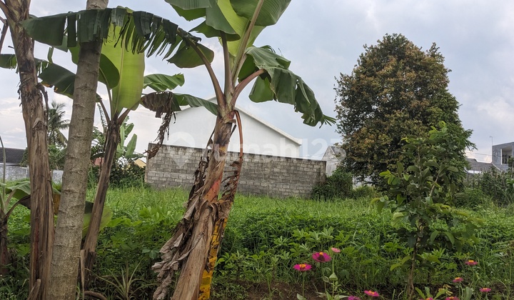 TANAH LOWOKWARU MALANG POTENSIAL UNTUK BISNIS SHM