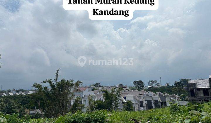 TANAH MURAH SHM SIAP BANGUN KEDUNG KANDANG MALANG DEKAT GOR  2