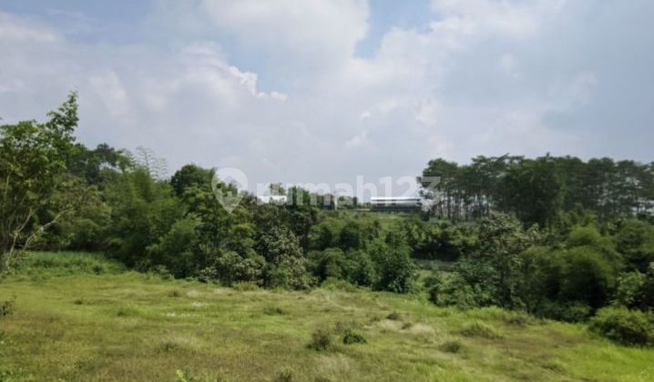 Investasi Tanah Kavling di Kota Malang dengan Harga Rendah