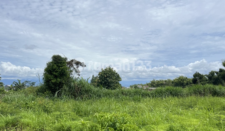 Tanah Murah Kota Malang SHM Dekat Sekolah Internasional
