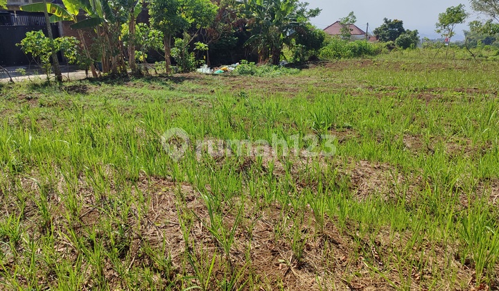 Tanah Kavling Siap Bangun di Perumahan Nyaman Tanah Kavling Siap Bangun di Perumahan Nyaman