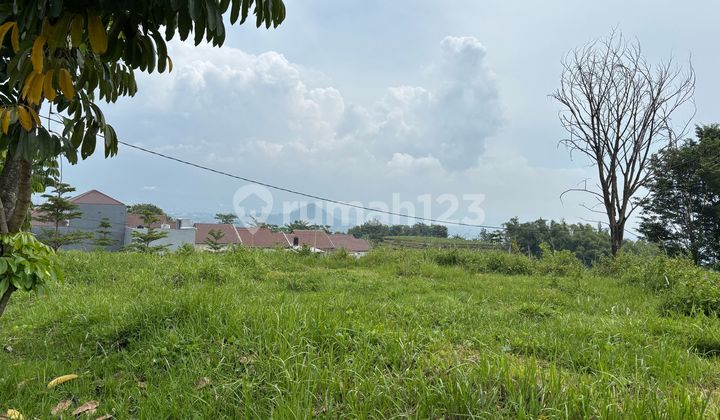 TANAH MURAH MALANG AREA KAMPUS SIAP BANGUN SHM READY!! TANAH MURAH MALANG AREA KAMPUS SIAP BANGUN SHM READY!!