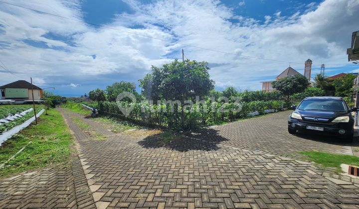 Tanah Malang Kawasan Pegunungan Malang View Gunung Panderman