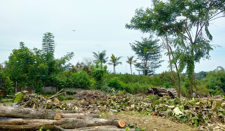 TANAH MURAH DEKAT UIN3 MALANG COCOK UNTUK BISNIS SHM TANAH MURAH DEKAT UIN3 MALANG COCOK UNTUK BISNIS SHM