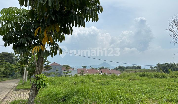 TANAH MALANG HARGA MURAH DIKELASNYA SHM DEKAT DENGAN UIN