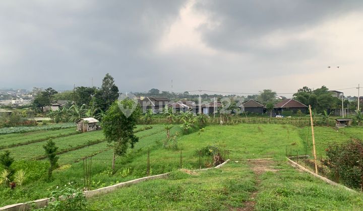 TANAH COCOK UNTUK BANGUN VILLA SHM DENGAN VIEW GUNUNG TANAH COCOK UNTUK BANGUN VILLA SHM DENGAN VIEW GUNUNG